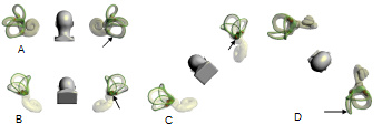 Eb6cfd6bd25912fa3e1b53fb9d48cd06ab6fc8fe.jpg